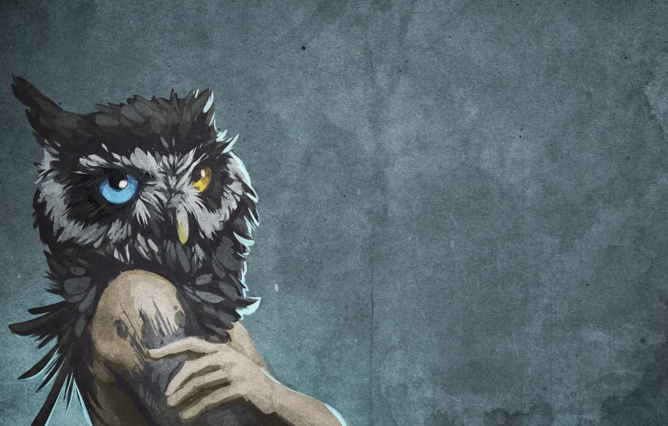Photo wallpaper background, wall, owl, bird, figure, people, head, art
