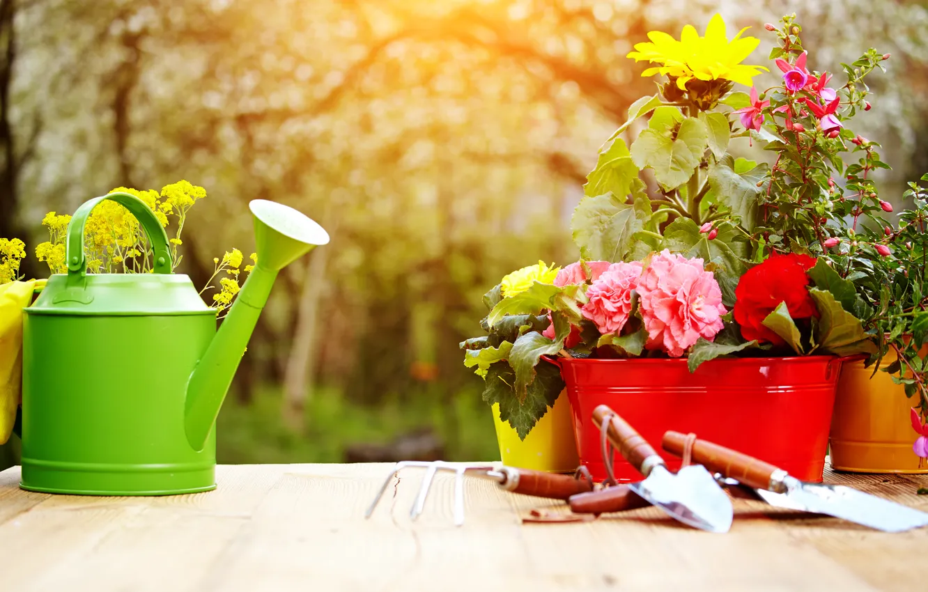 Photo wallpaper flowers, lake, flowering, garden tools