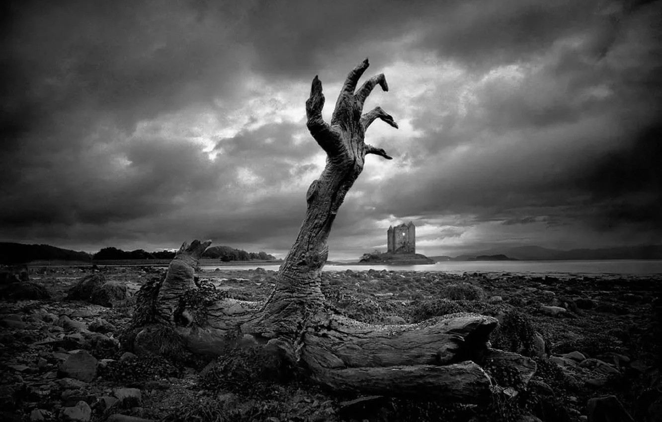 Photo wallpaper fear, black and white, hand, stump
