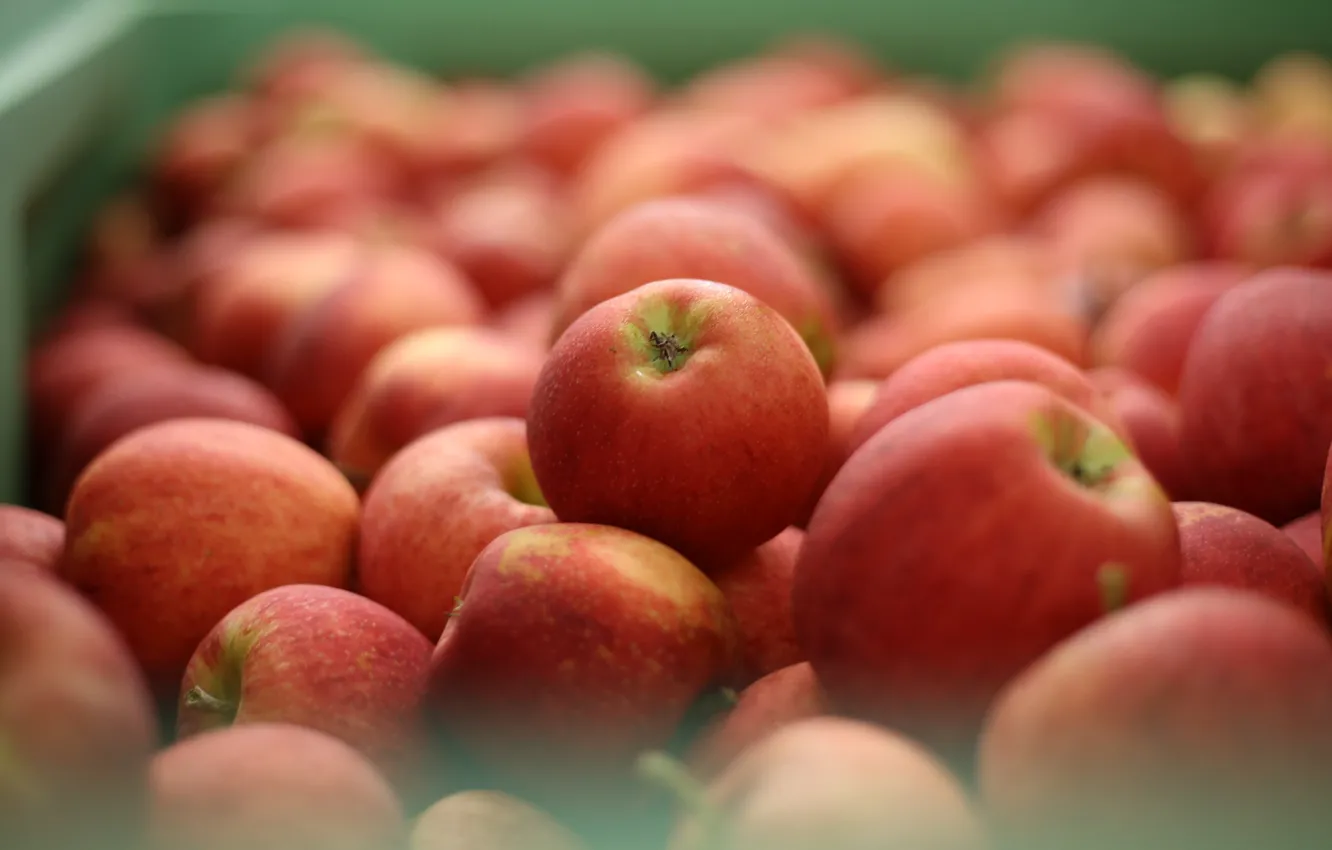 Photo wallpaper apples, harvest, red, box, a lot, bokeh