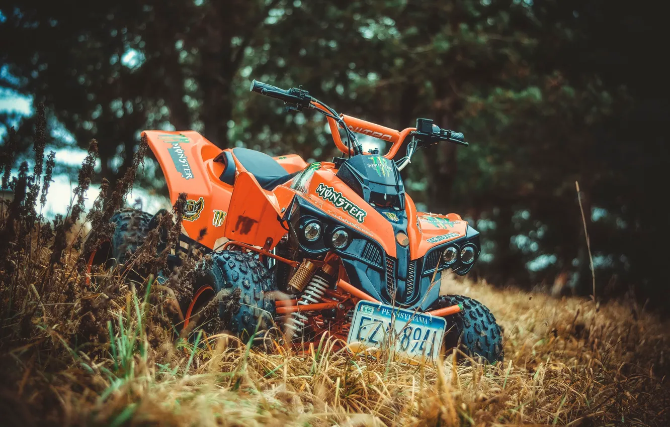 Photo wallpaper grass, view, ATV