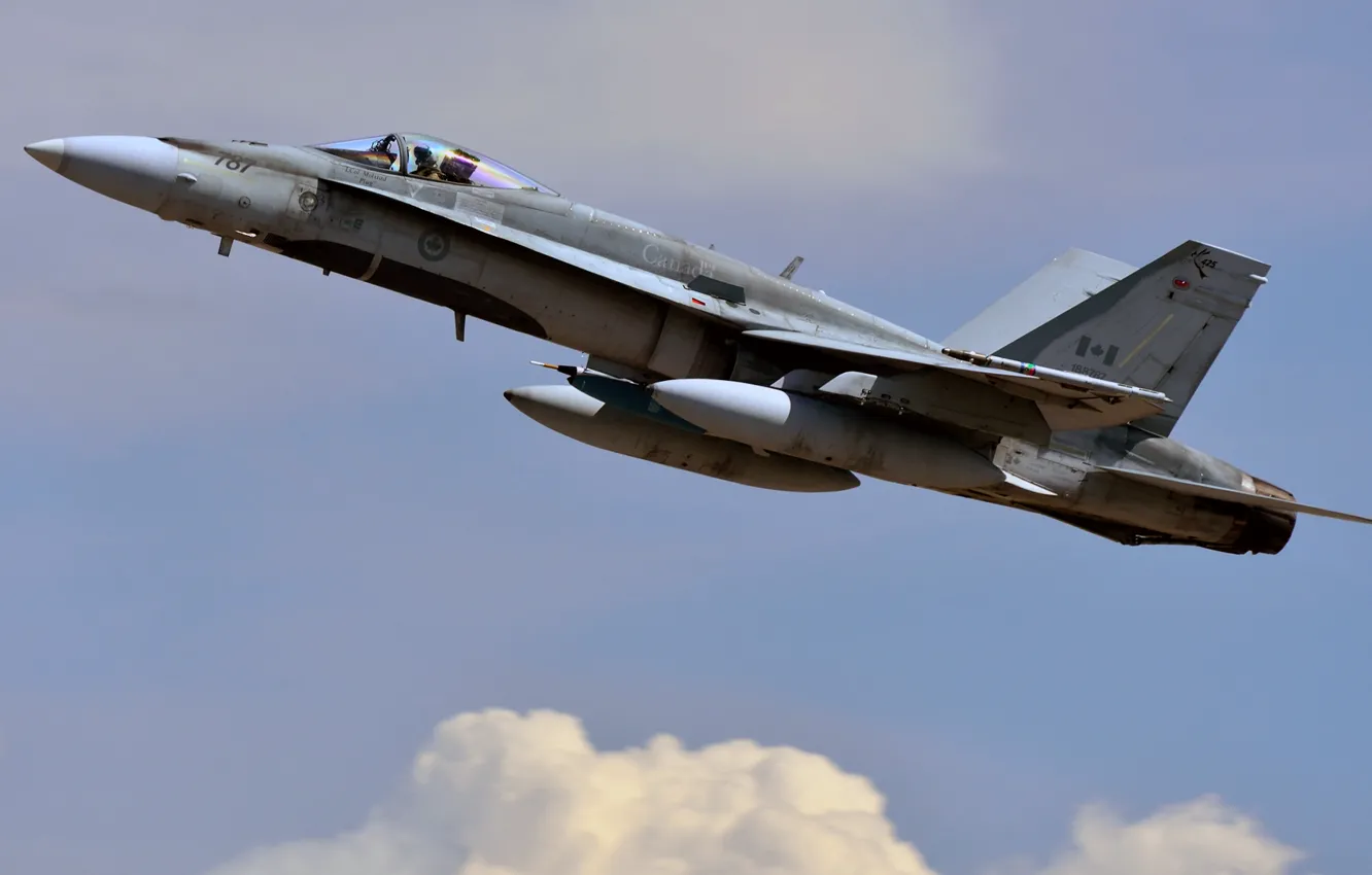 Photo wallpaper hornet, F/A-18, Douglas, Hornet, McDonnell, The canadian air force, American carrier-based fighter-bomber