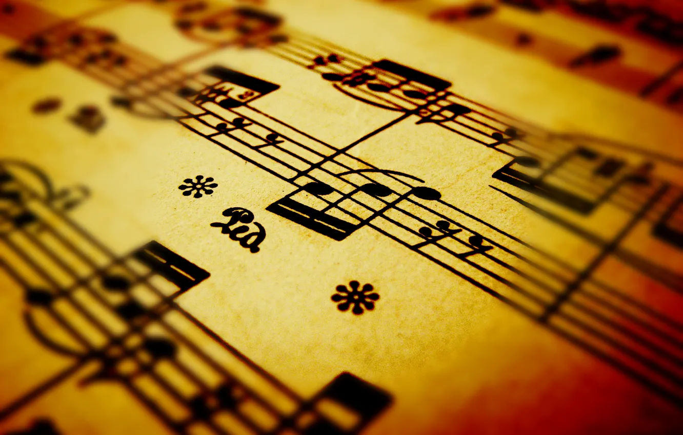 Photo wallpaper macro, notes, different