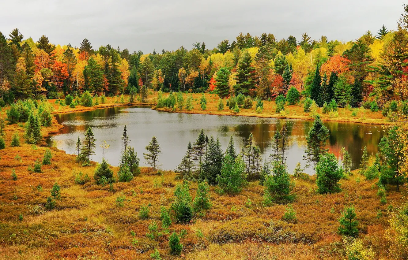 Photo wallpaper autumn, forest, nature, lake, photo