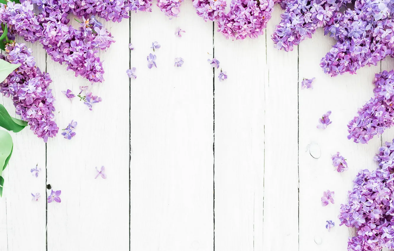 Photo wallpaper flowers, background, spring, flowers, lilac, lilac