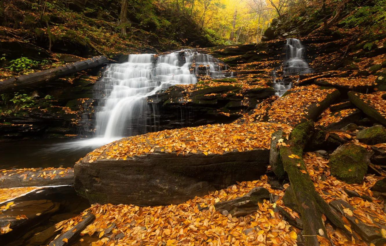Photo wallpaper foliage, waterfall, stream, falling leaves