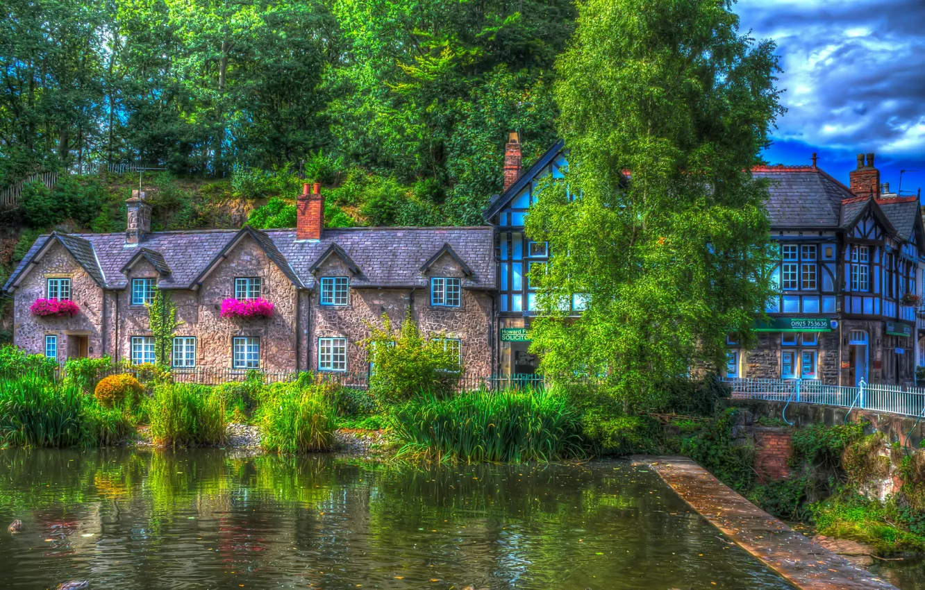 Photo wallpaper greens, trees, house, pond, the reeds, England, treatment, the bushes