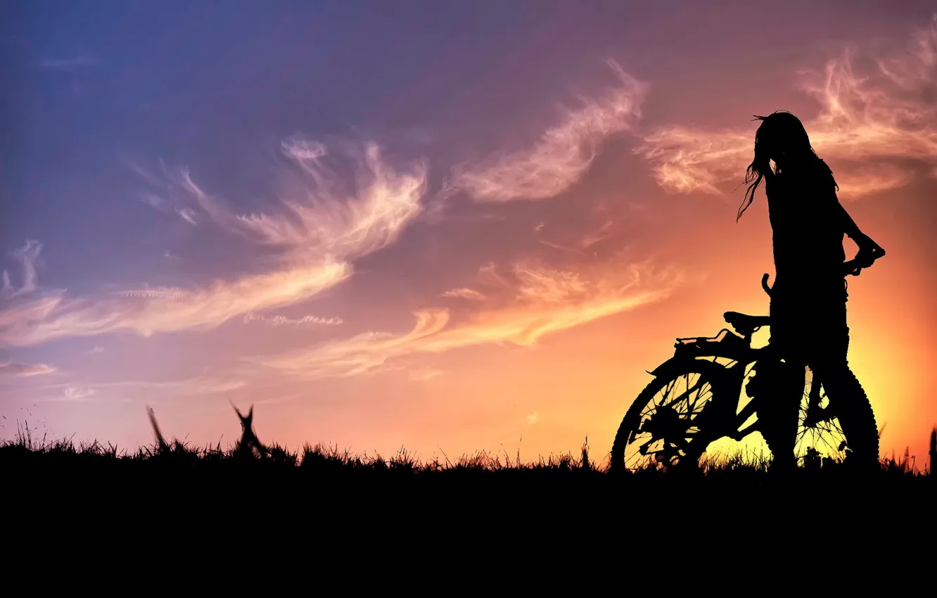 Photo wallpaper summer, the sky, sunset, silhouette