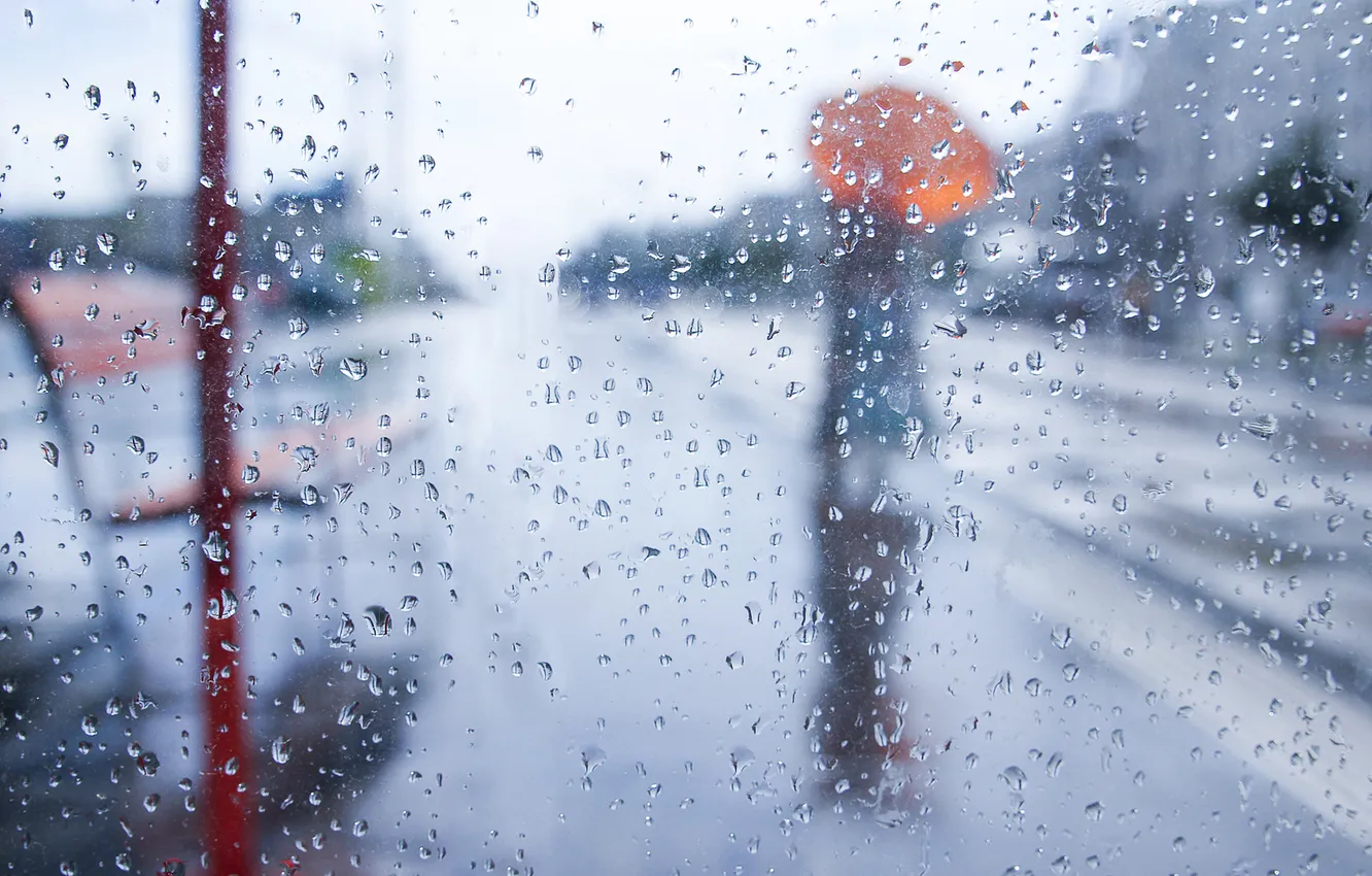 Photo wallpaper glass, girl, rain, mood, umbrella