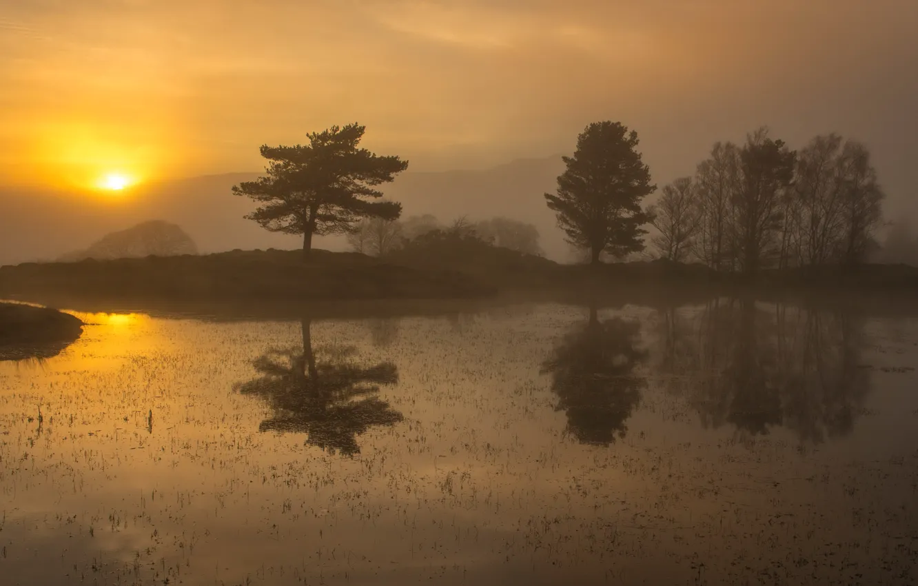 Photo wallpaper the sun, trees, landscape, fog, dawn, shore, pond, Wallpaper from lolita777