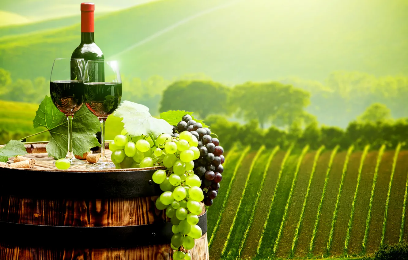 Photo wallpaper landscape, wine, field, bottle, glasses, grapes, tube, barrel