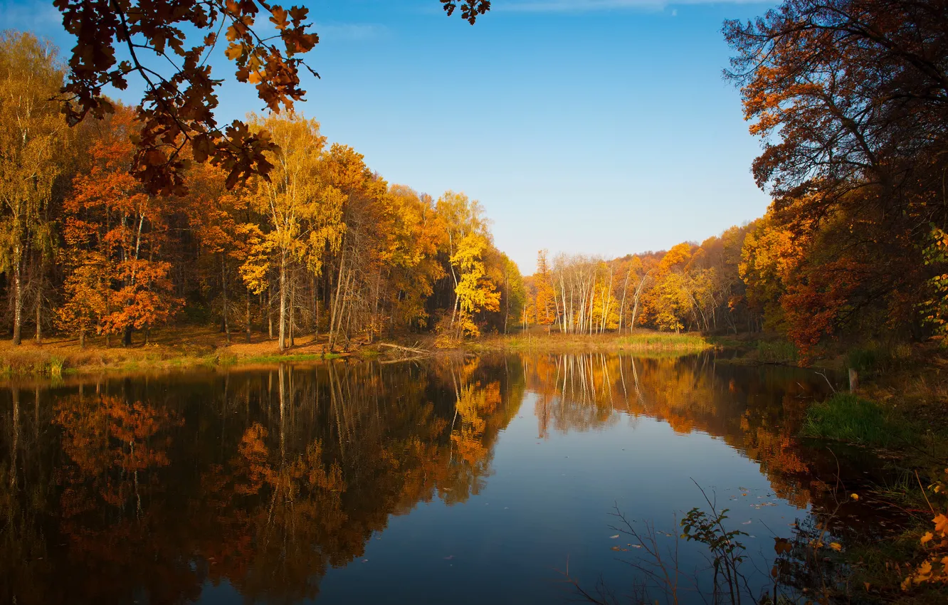 Photo wallpaper autumn, the sky, reflection, trees, nature, lake, pond, paint