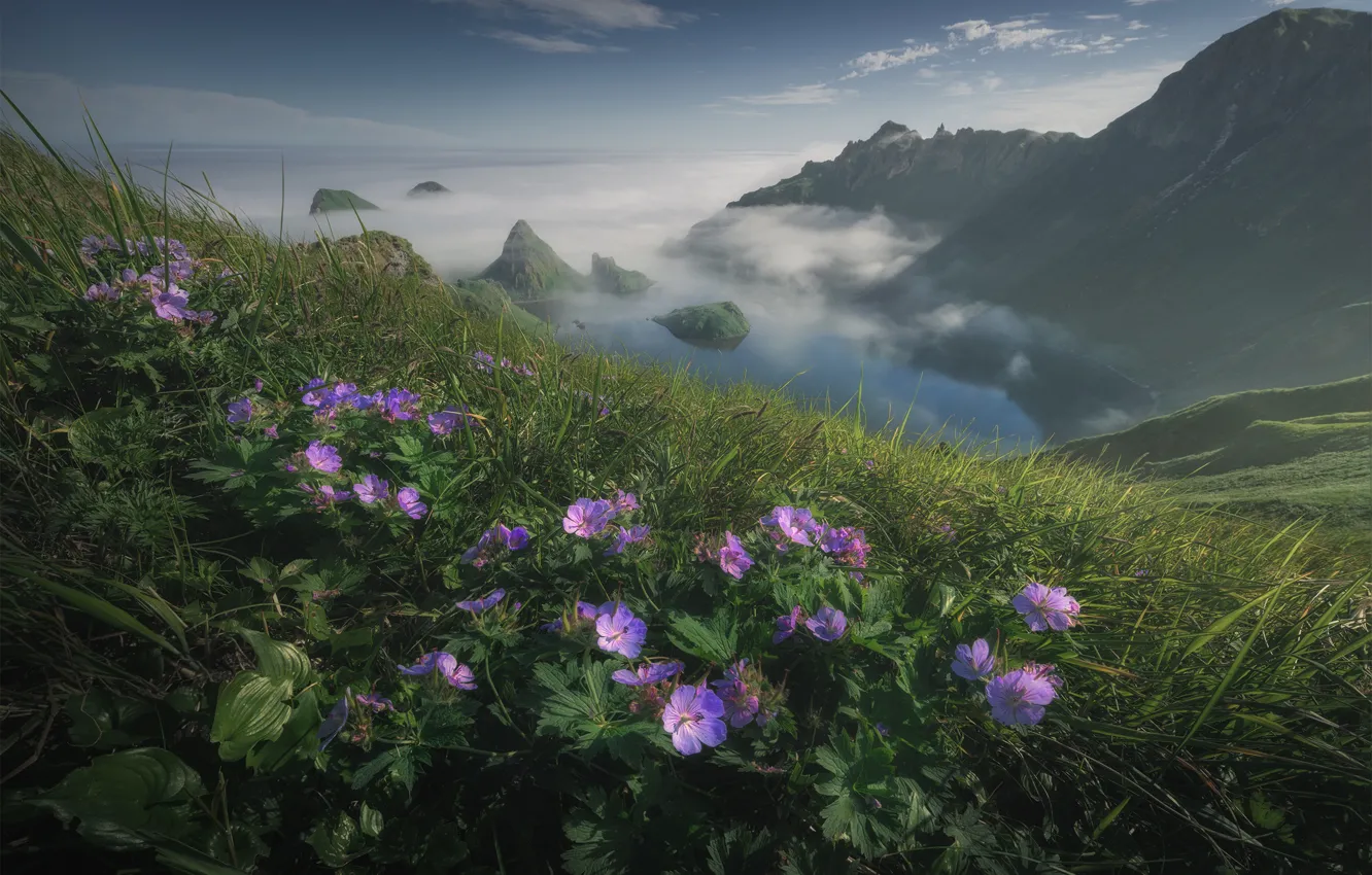 Photo wallpaper flowers, mountains, fog