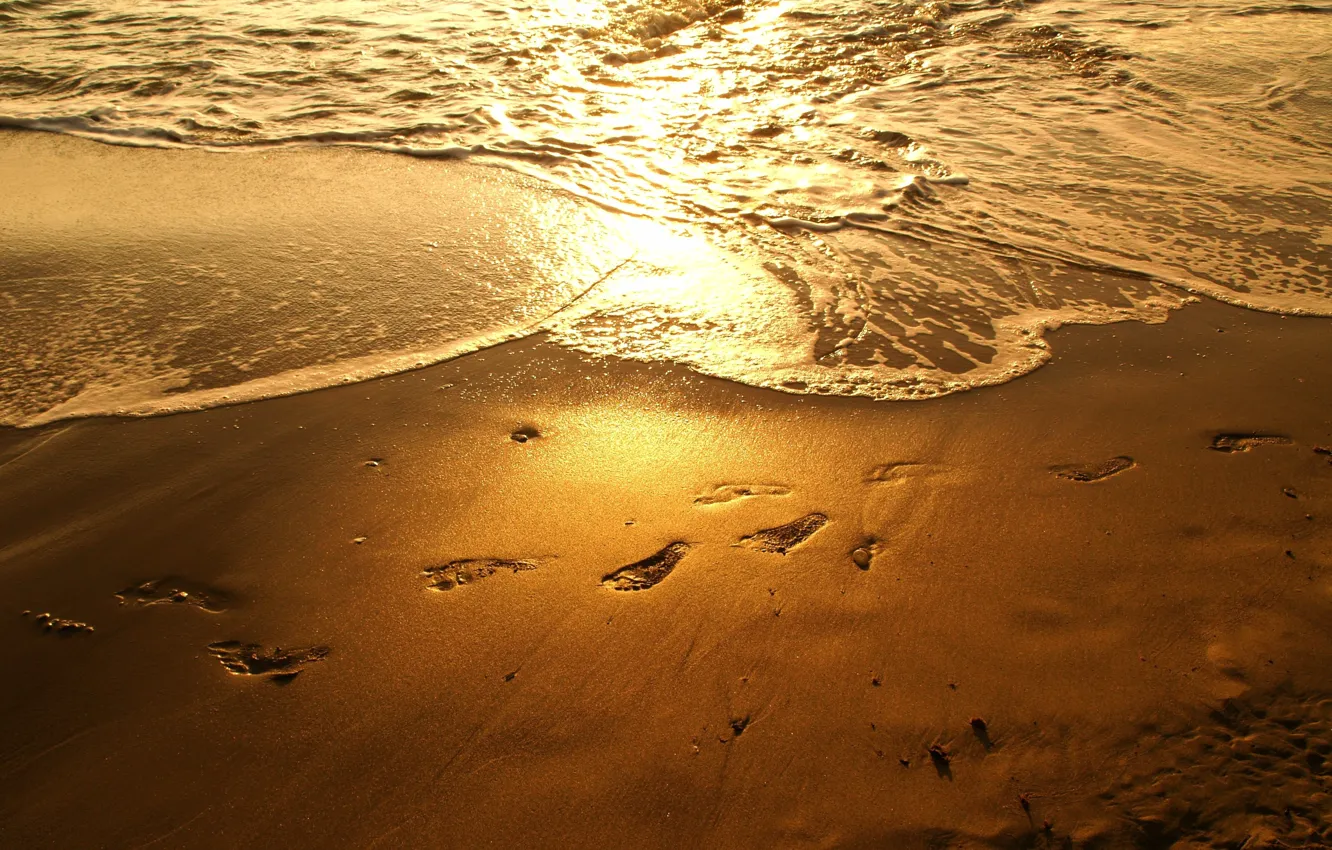 Photo wallpaper sea, beach, sunset, traces, reflection, the evening