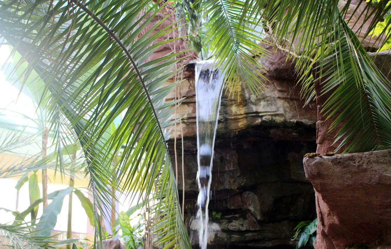 Photo wallpaper greens, water, nature, tropics, palm trees, waterfall