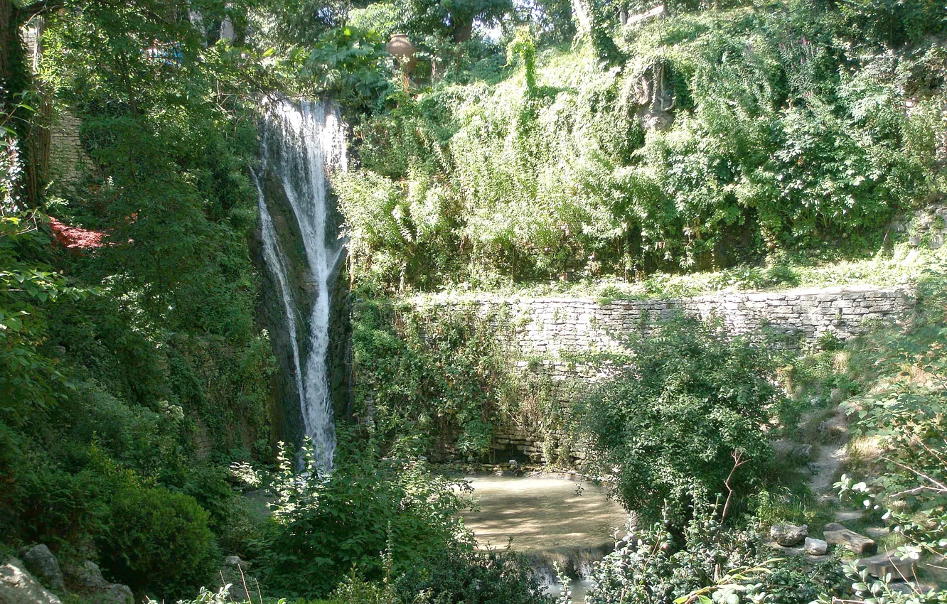 Photo wallpaper forest, nature, foliage, waterfall