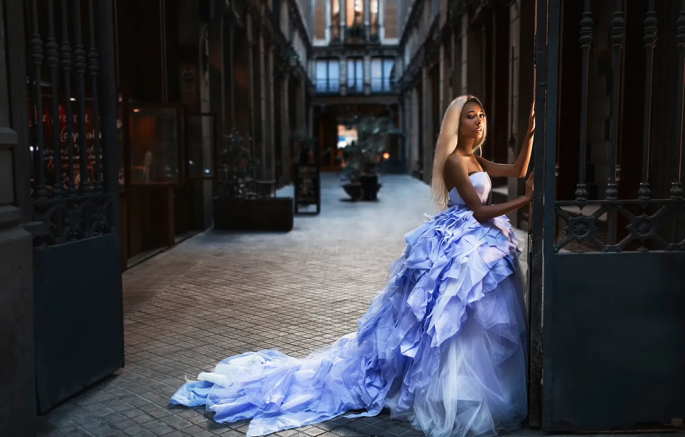 Photo wallpaper dress, Mary Senn, Ivan Gorokhov