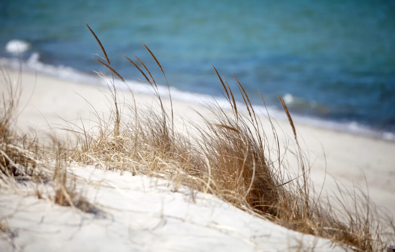 Photo wallpaper Water, Sand, The ocean, Beach, Grass