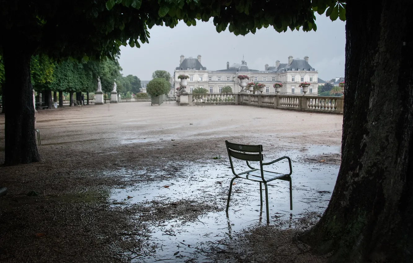 Photo wallpaper trees, puddle, chair, after the rain, Luxembourg, terrace