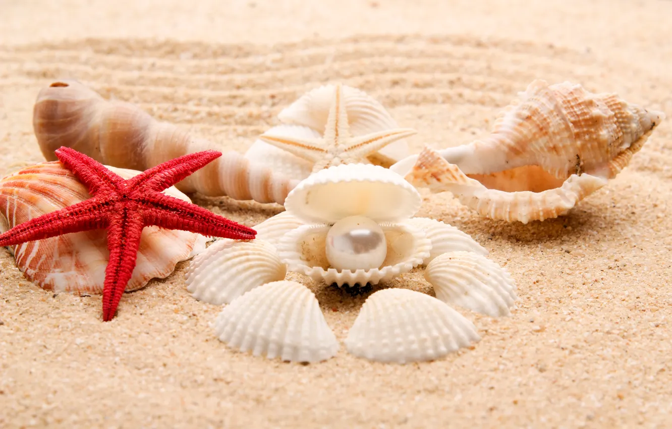 Photo wallpaper sand, sea, beach, shore, shell, summer, beach, sea