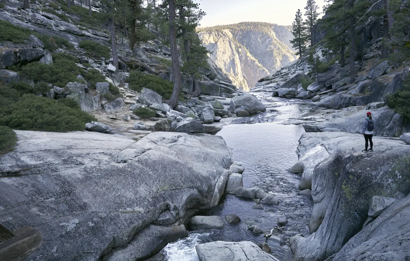 Photo wallpaper forest, mountains, stones
