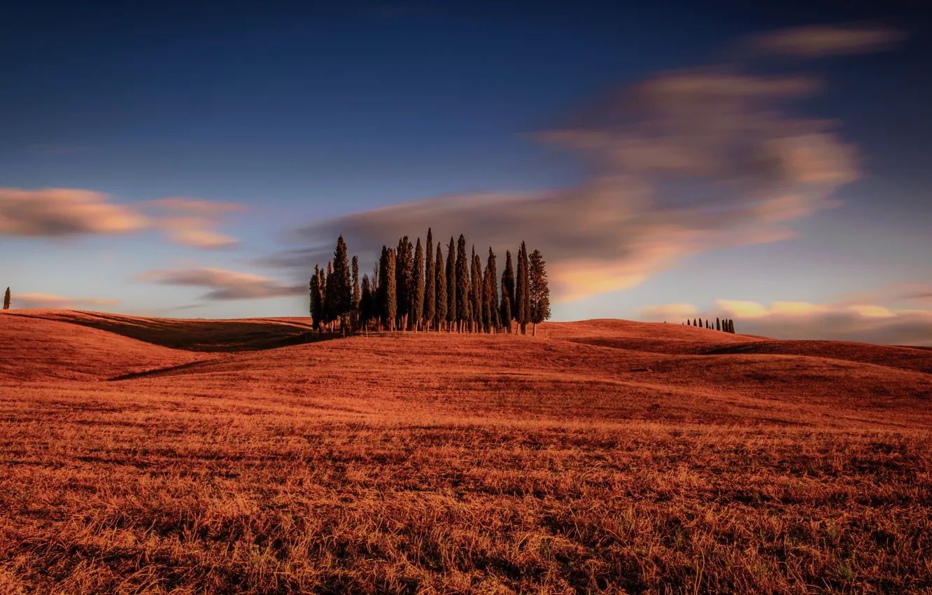 Photo wallpaper field, clouds, trees, Italy, Italy, cypress, Tuscany, Tuscany