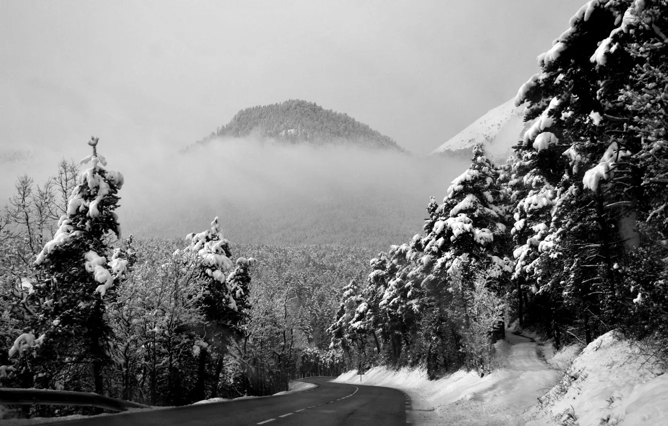 Photo wallpaper winter, road, forest, snow, landscape, mountains, photo, background