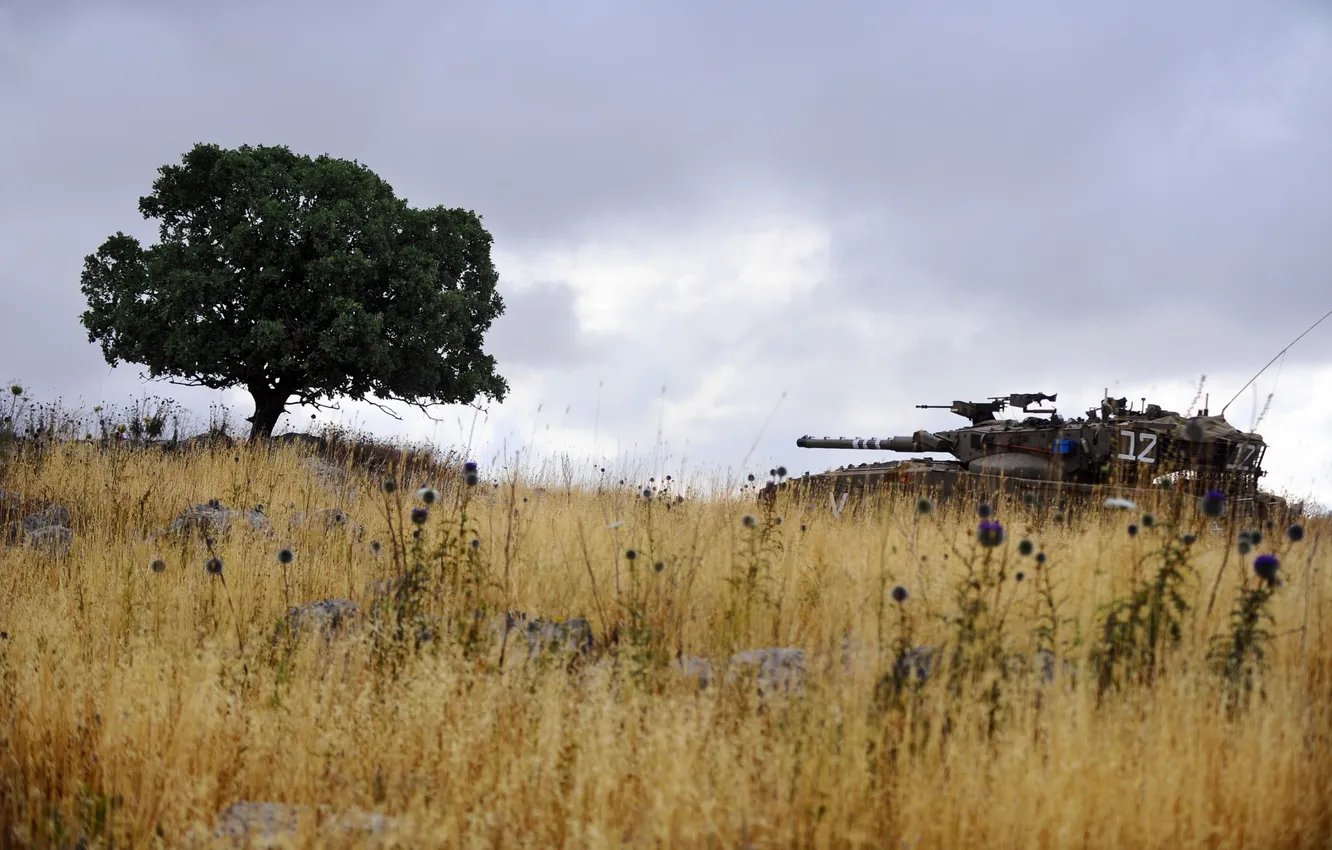 Photo wallpaper field, weapons, tank