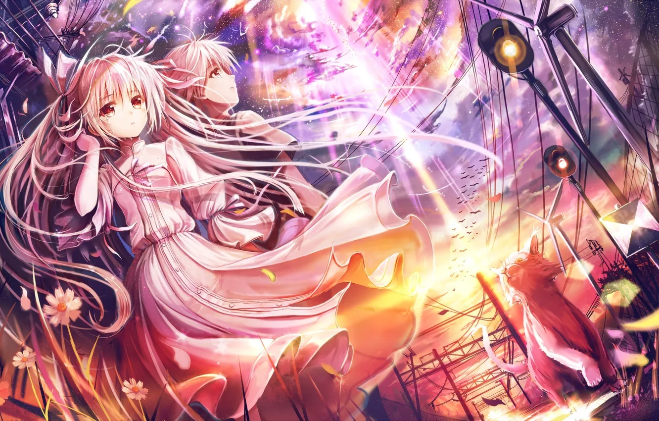 Photo wallpaper cat, girl, clouds, sunset, flowers, the wind, dress, male