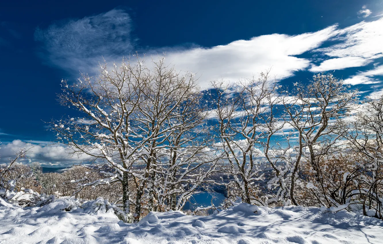 Photo wallpaper winter, landscape, nature