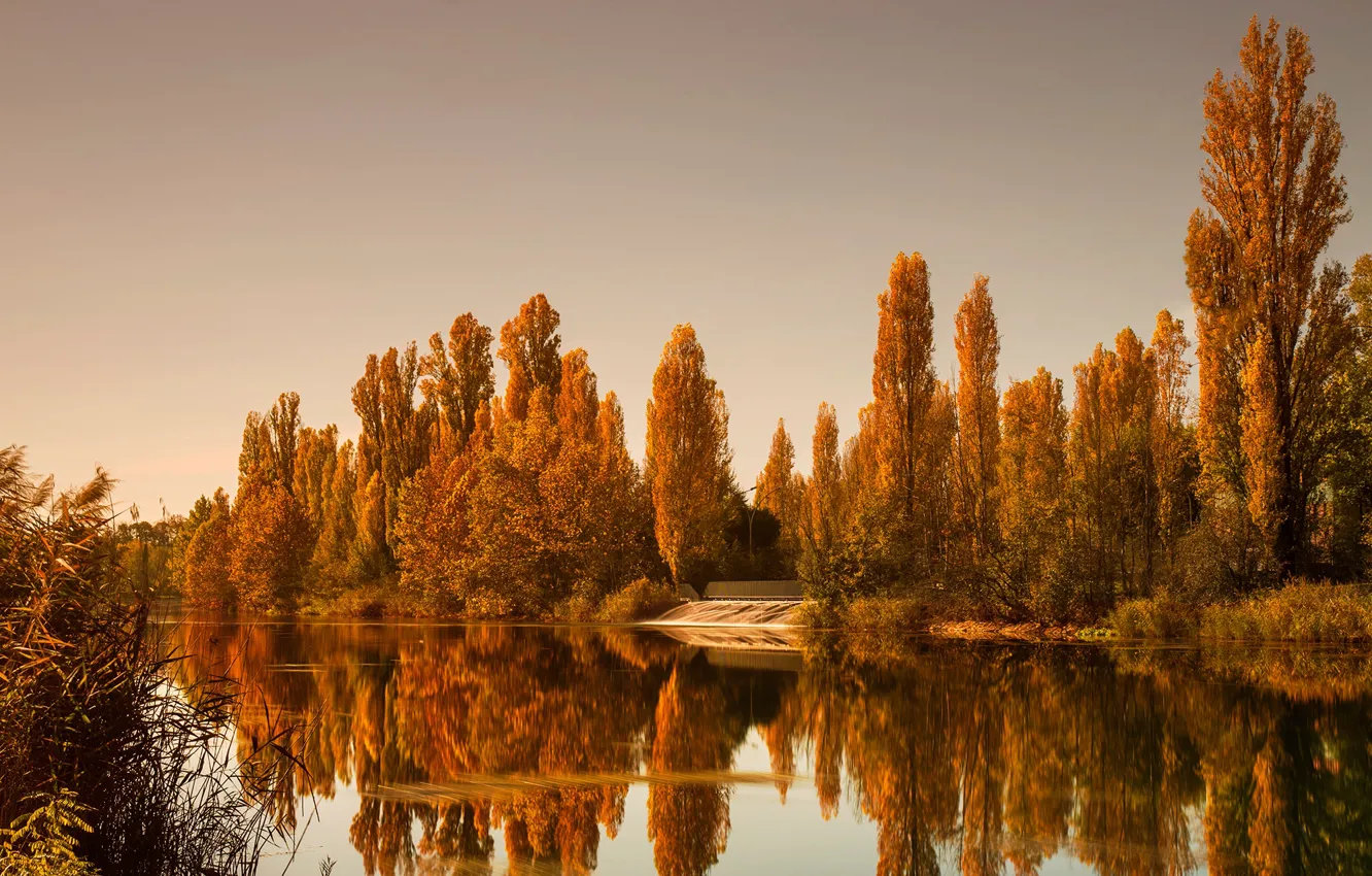 Photo wallpaper autumn, forest, the sky, water, trees, reflection, river, yellow