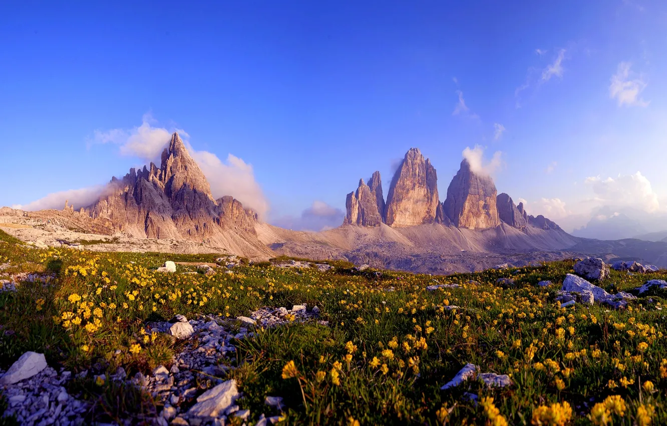 Photo wallpaper flowers, stones, pinnacle rock