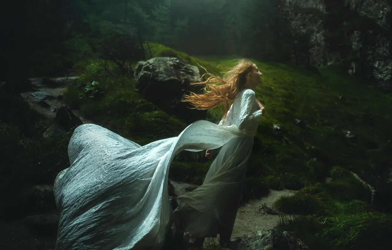 Photo wallpaper forest, girl, dress, TJ Drysdale, Windswept