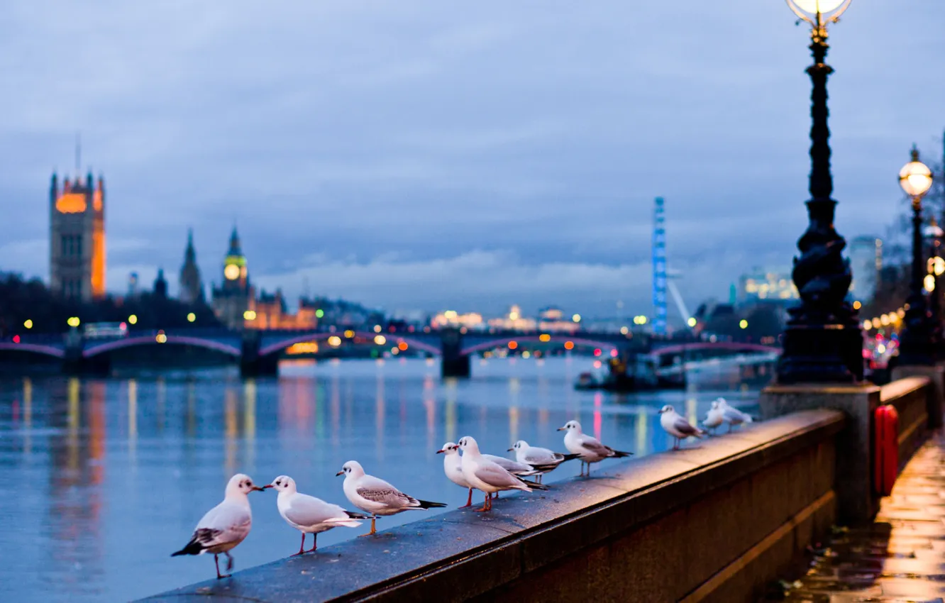 Photo wallpaper 1920 x 1200, 1920 x 1080, 1440p