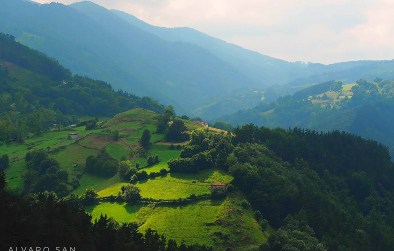 Photo wallpaper greens, field, forest, the sky, the sun, trees, mountains, meadow