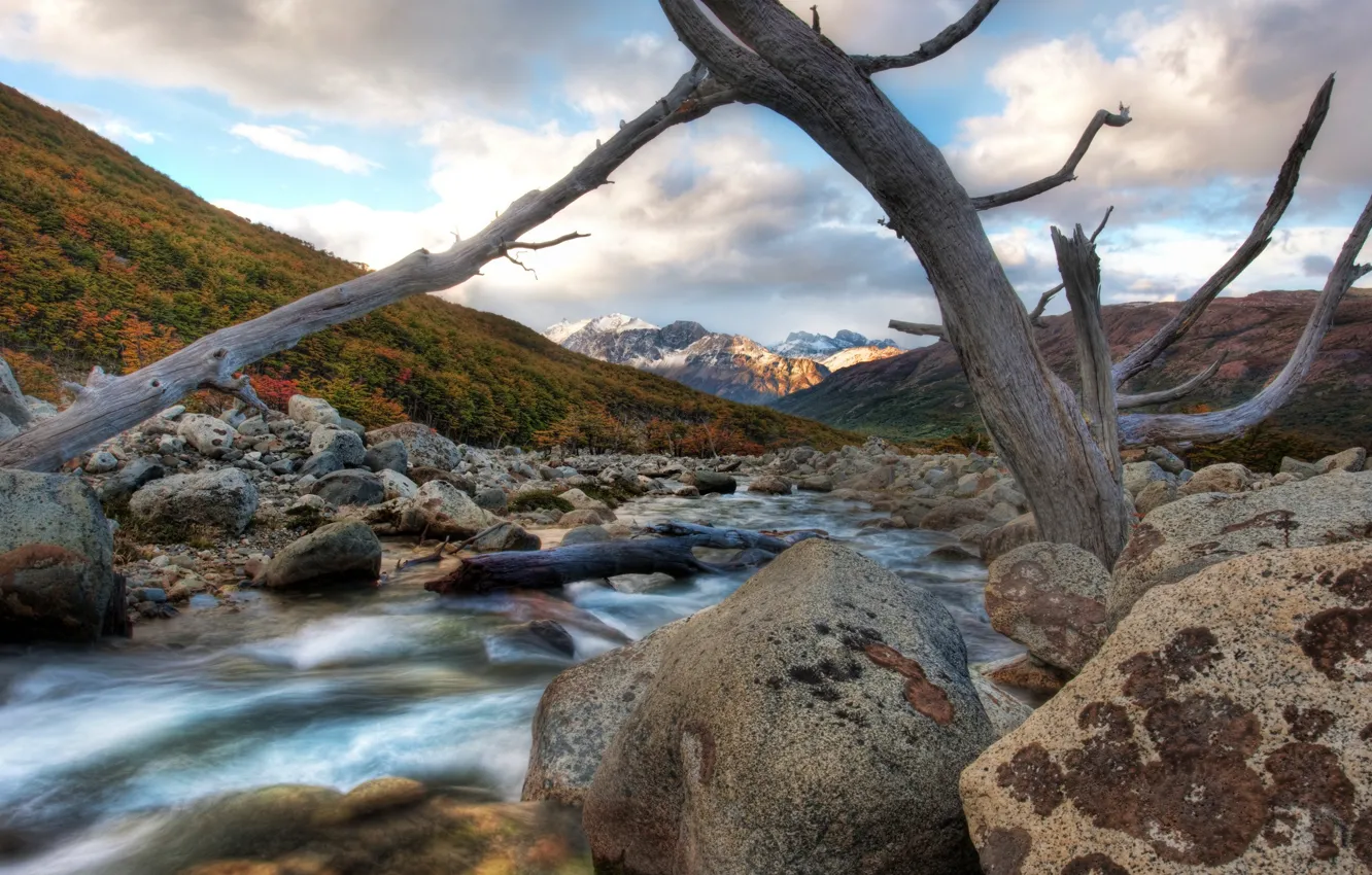 Photo wallpaper mountains, branches, river, stones