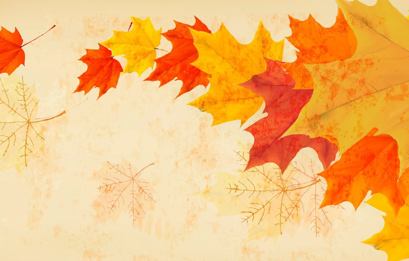 Photo wallpaper autumn, leaves, the wind