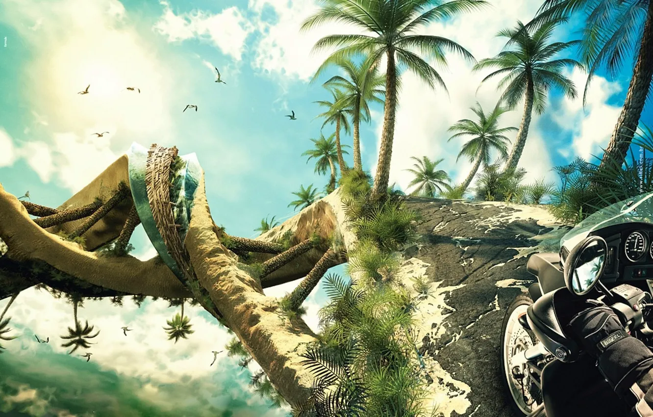 Photo wallpaper palm trees, spiral, Motorcycle