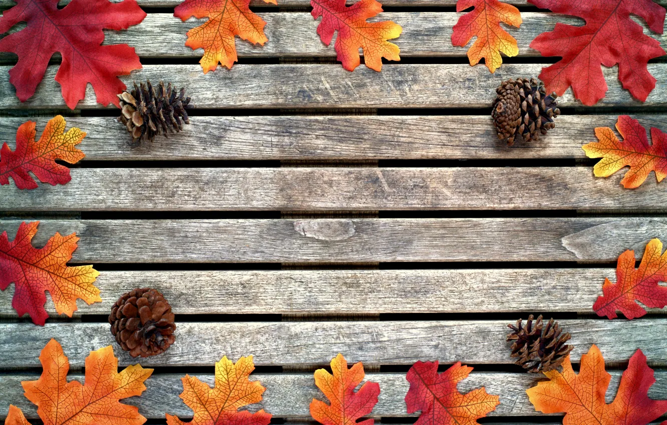 Photo wallpaper autumn, leaves, background, tree, colorful, maple, bumps, wood