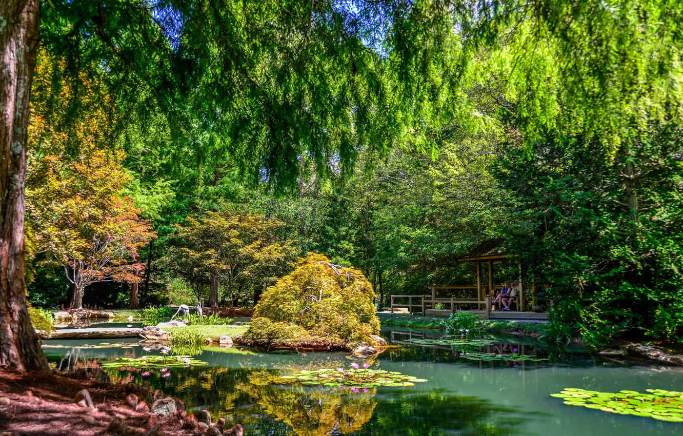 Photo wallpaper trees, pond, garden, USA, the bushes, Gibbs Gardens