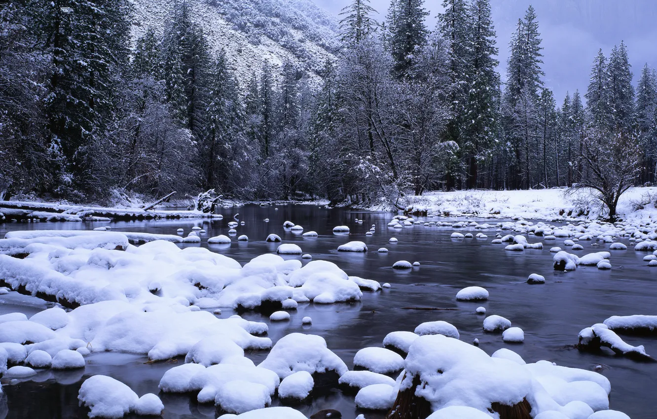 Photo wallpaper forest, snow, stream