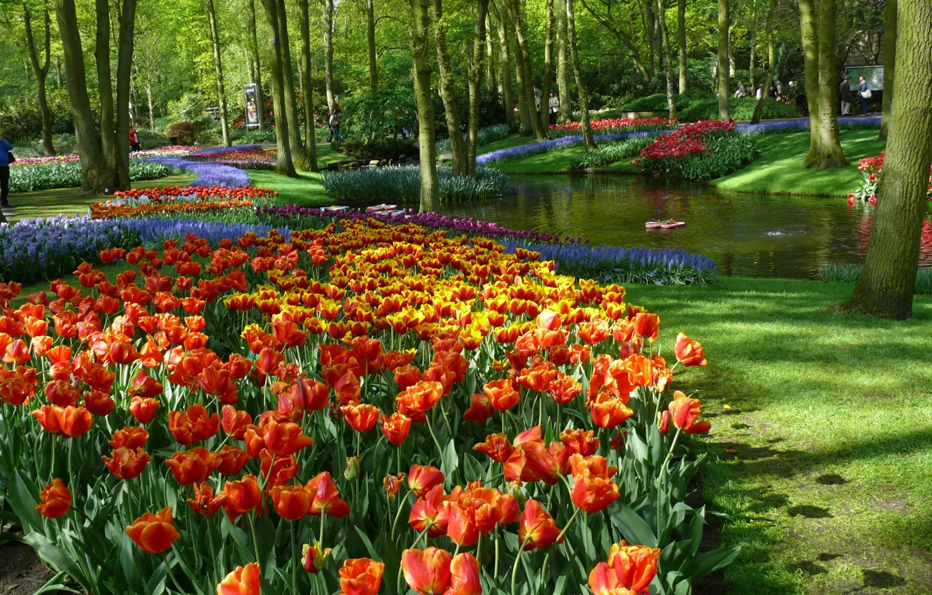 Photo wallpaper Spring, Tulips, Pond, Netherlands, Spring, Flowering, Colors, Netherlands