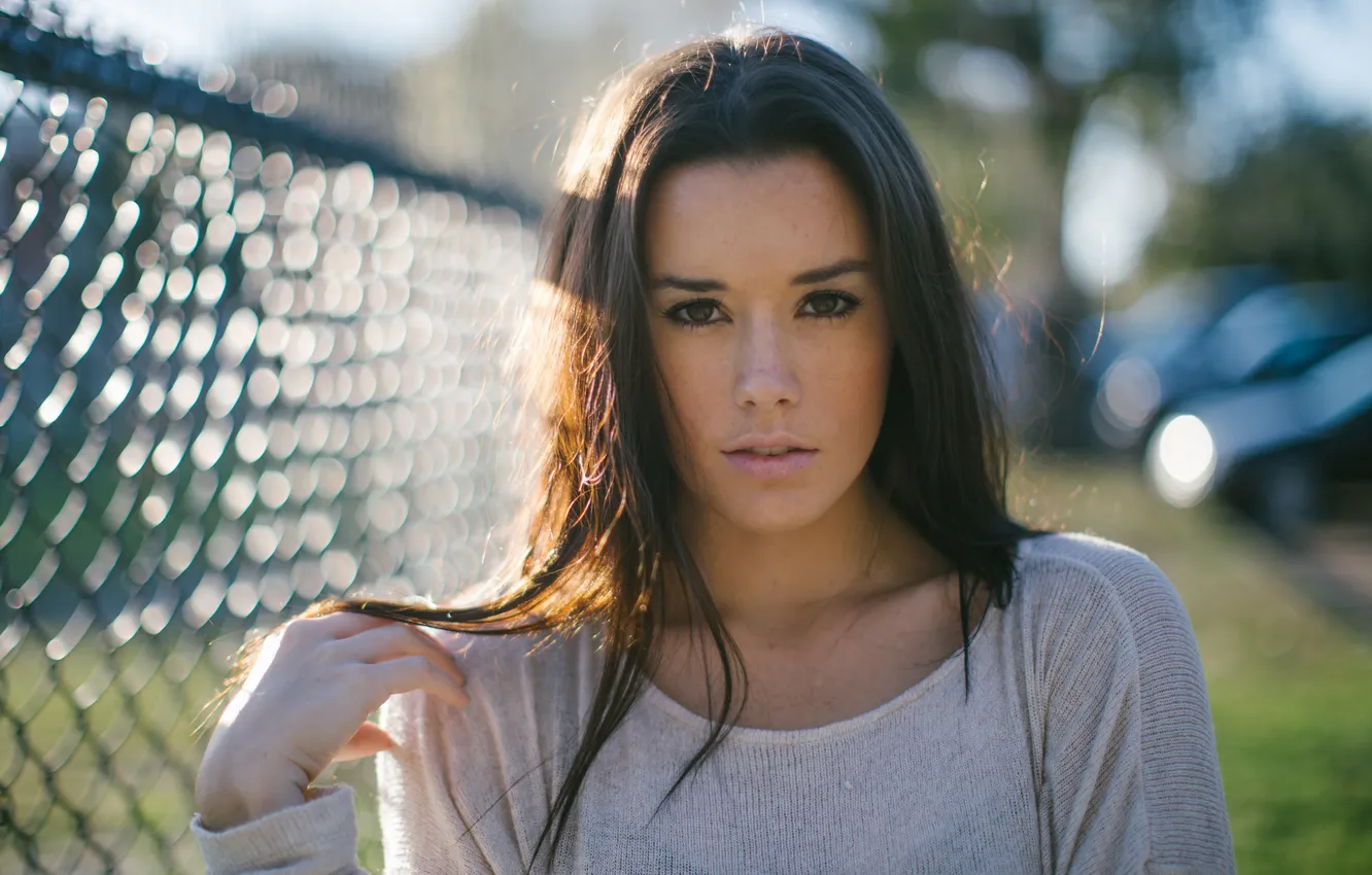 Photo wallpaper girl, mesh, the fence, brunette