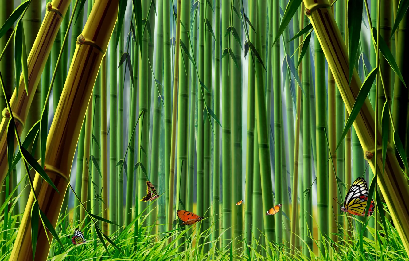 Photo wallpaper grass, butterfly, bamboo