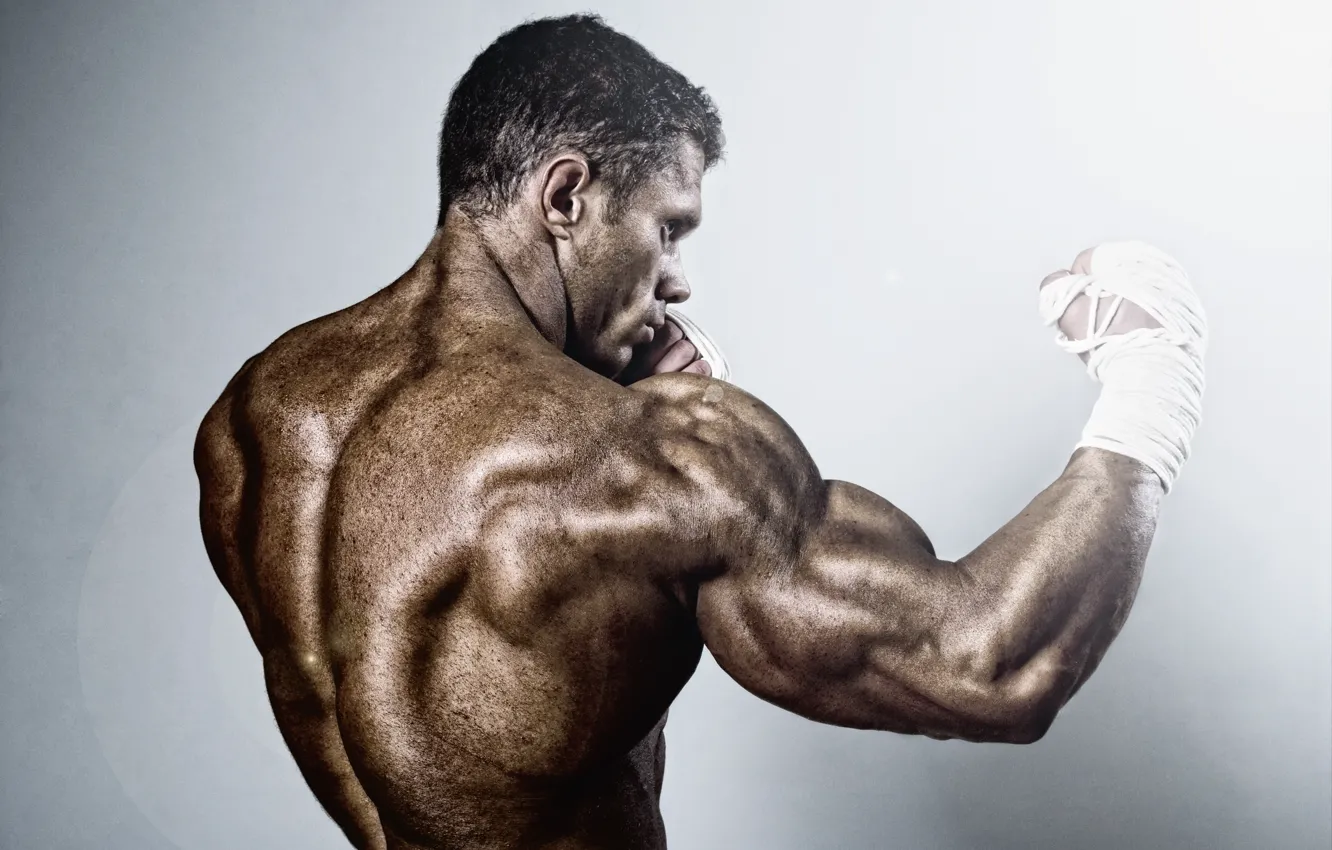 Photo wallpaper boxing, training, back muscles
