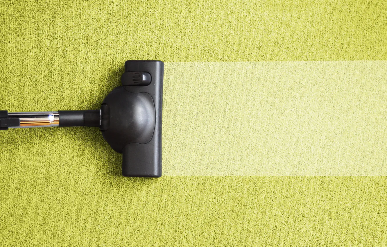 Photo wallpaper color, carpet, cleaning, vacuum cleaner