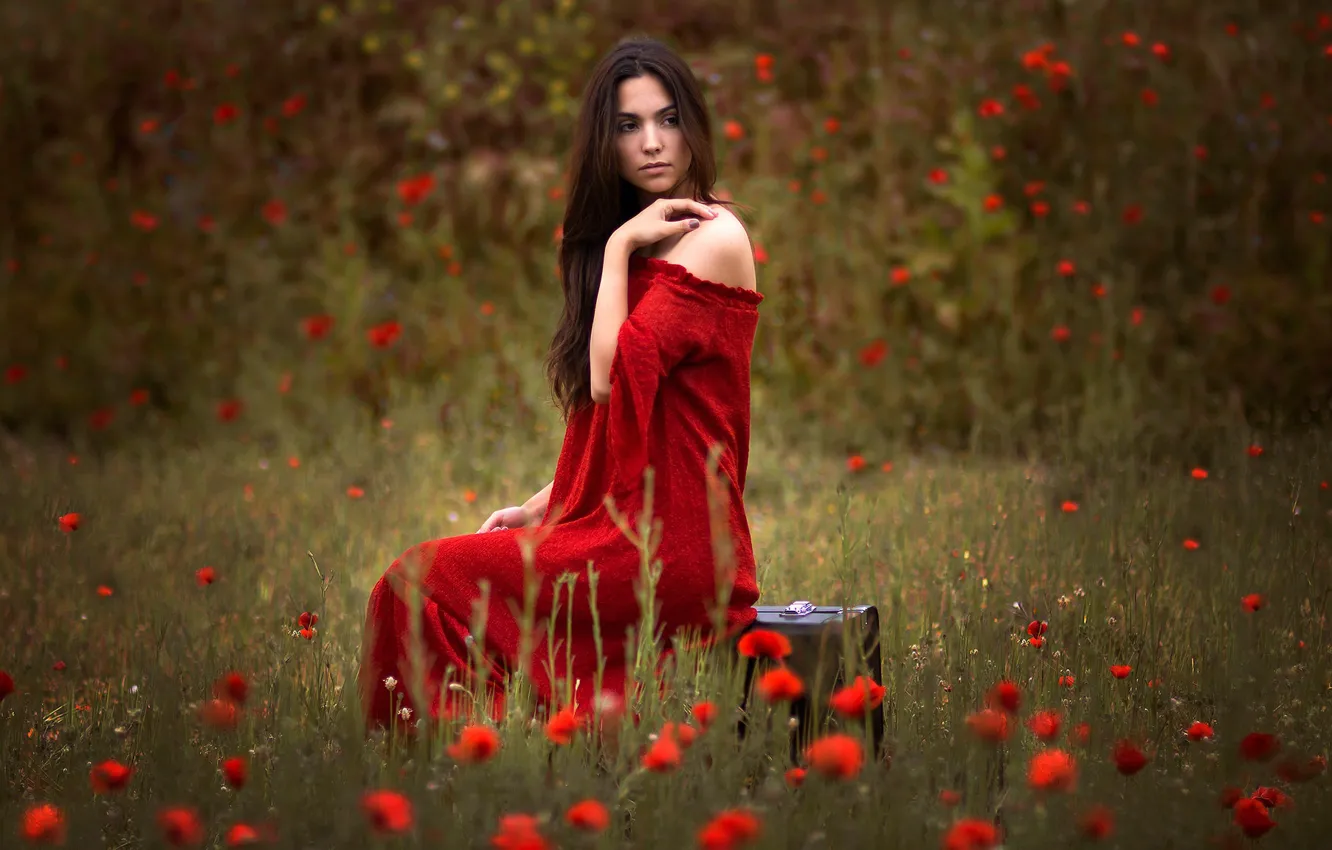 Photo wallpaper field, girl, flowers, Maki, brunette, suitcase, red dress