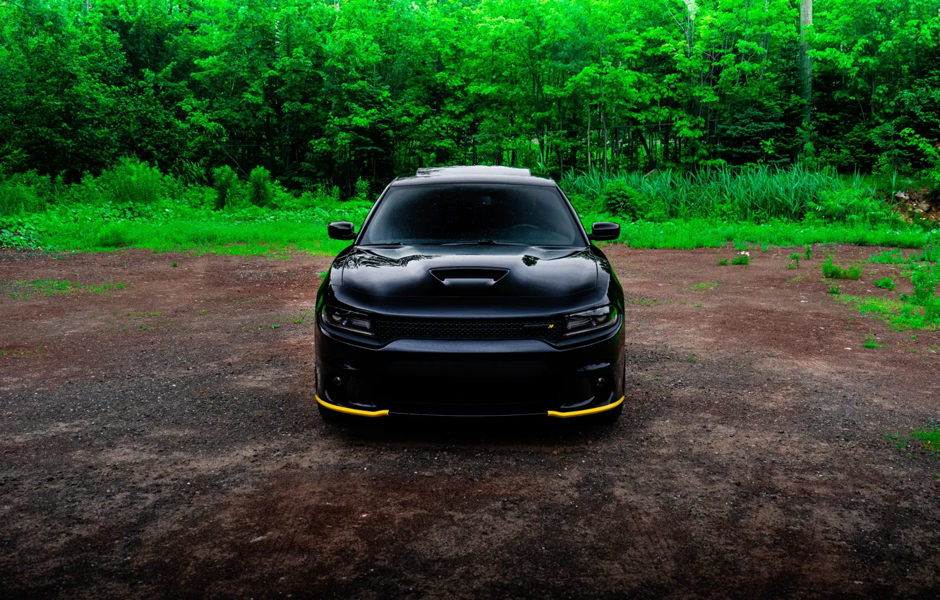 Photo wallpaper Dodge, SRT8, Green, Black, Charger, Yellow, Forest