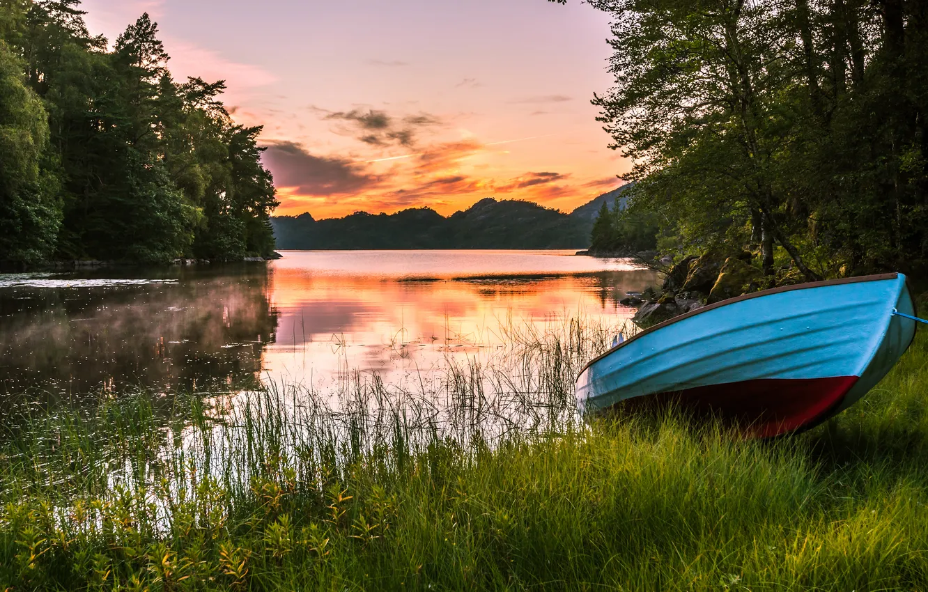 Photo wallpaper forest, summer, grass, clouds, light, trees, sunset, mountains