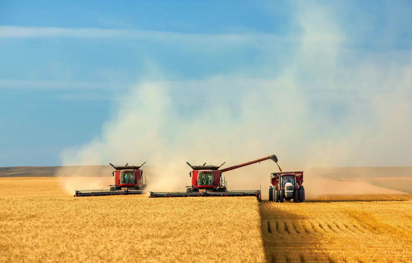 Photo wallpaper field, the sky, harvest, cleaning, harvester